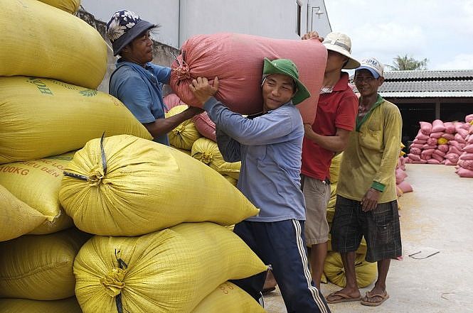 Sản lượng và năng suất lúa gạo tại Đồng bằng sông Cửu Long tăng. (Ảnh: Báo Công thương)