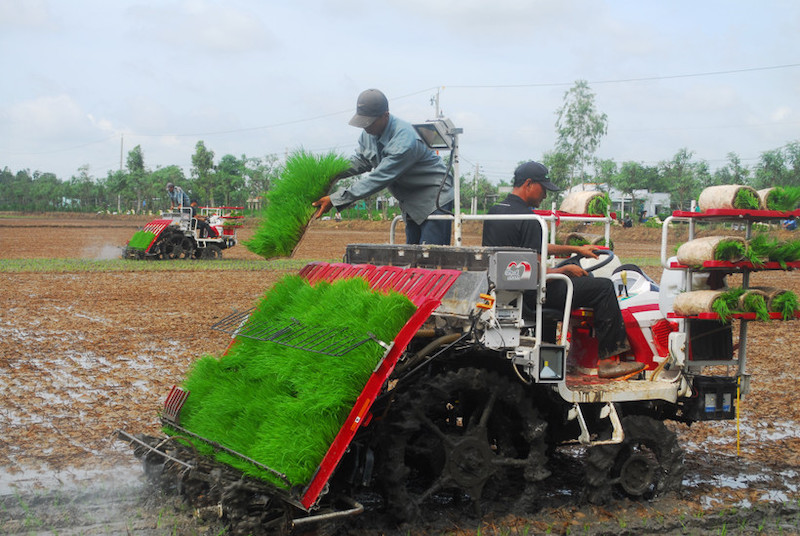 Cơ giới hóa máy móc trong nông nghiệp trồng lúa