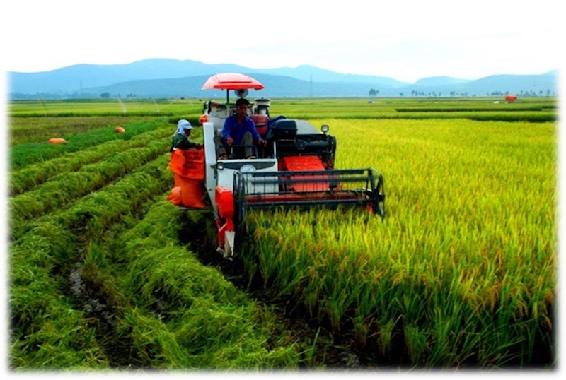 Hình 3: Máy gặt đập liên hợp là phát minh giảm thiểu được nhiều công đoạn trong thu hoạch mùa