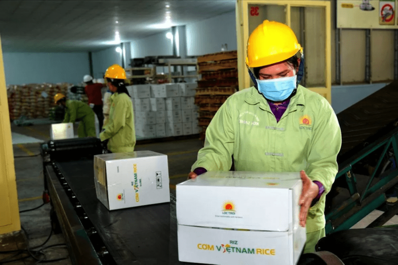 Xuất khẩu gạo đang rất khả quan (Ảnh: Tập đoàn Lộc Trời)
