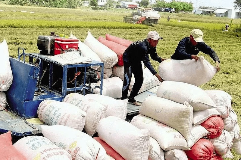 Việt Nam là một trong ba quốc gia xuất khẩu gạo lớn nhất thế giới. Ảnh: Quang Huy