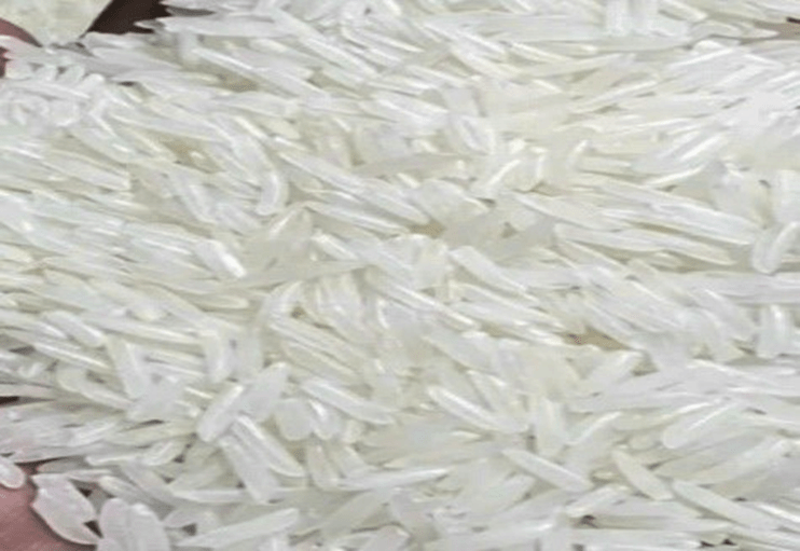 Gạo ST25 được trồng tại huyện Tánh Linh