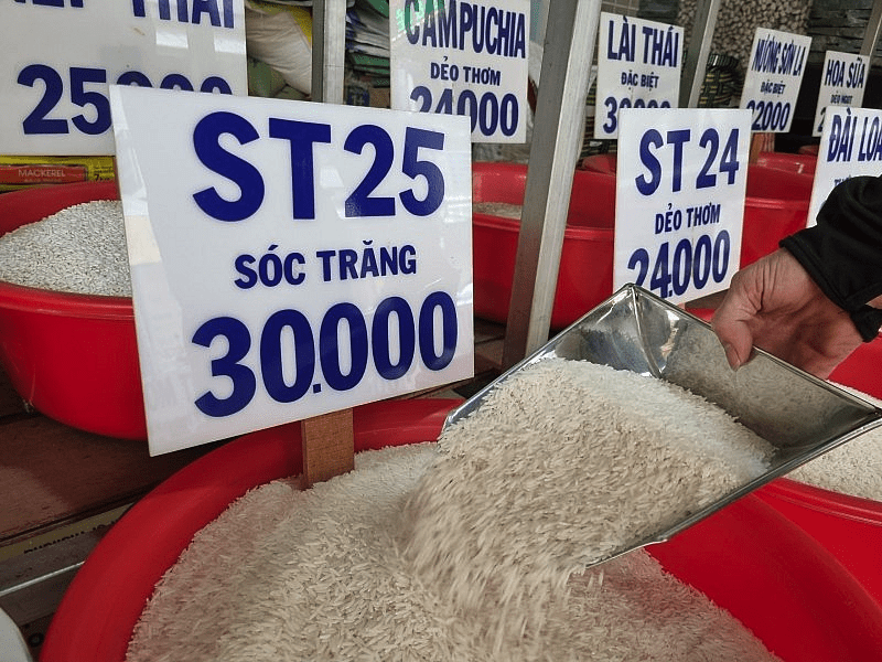 Gạo ST25 liên tục tăng trong 1 tuần qua