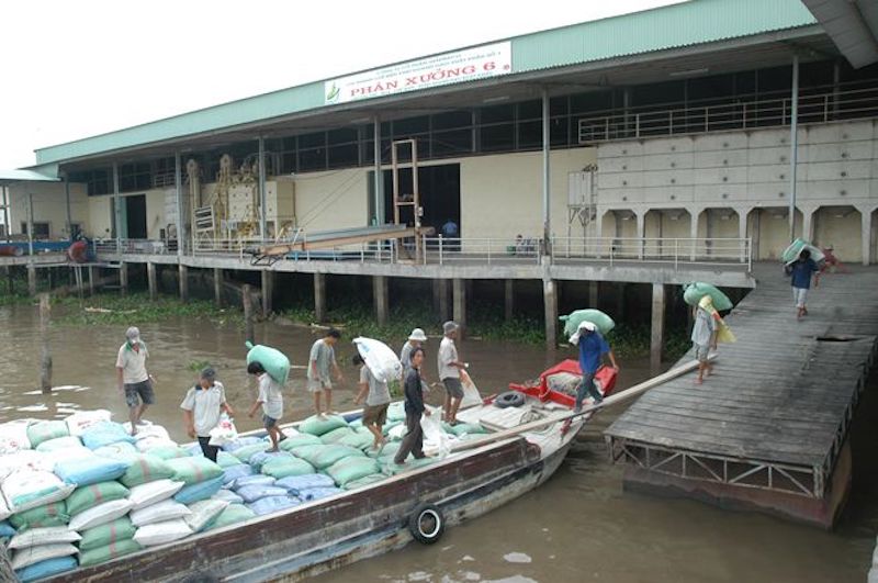Thu mua, chế biến gạo xuất khẩu tại Công ty CP Gentraco (Cần Thơ).